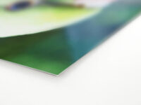stampa su carta epson premium glossy