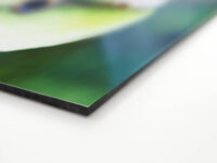 stampa su carta epson premium glossy su pannello
