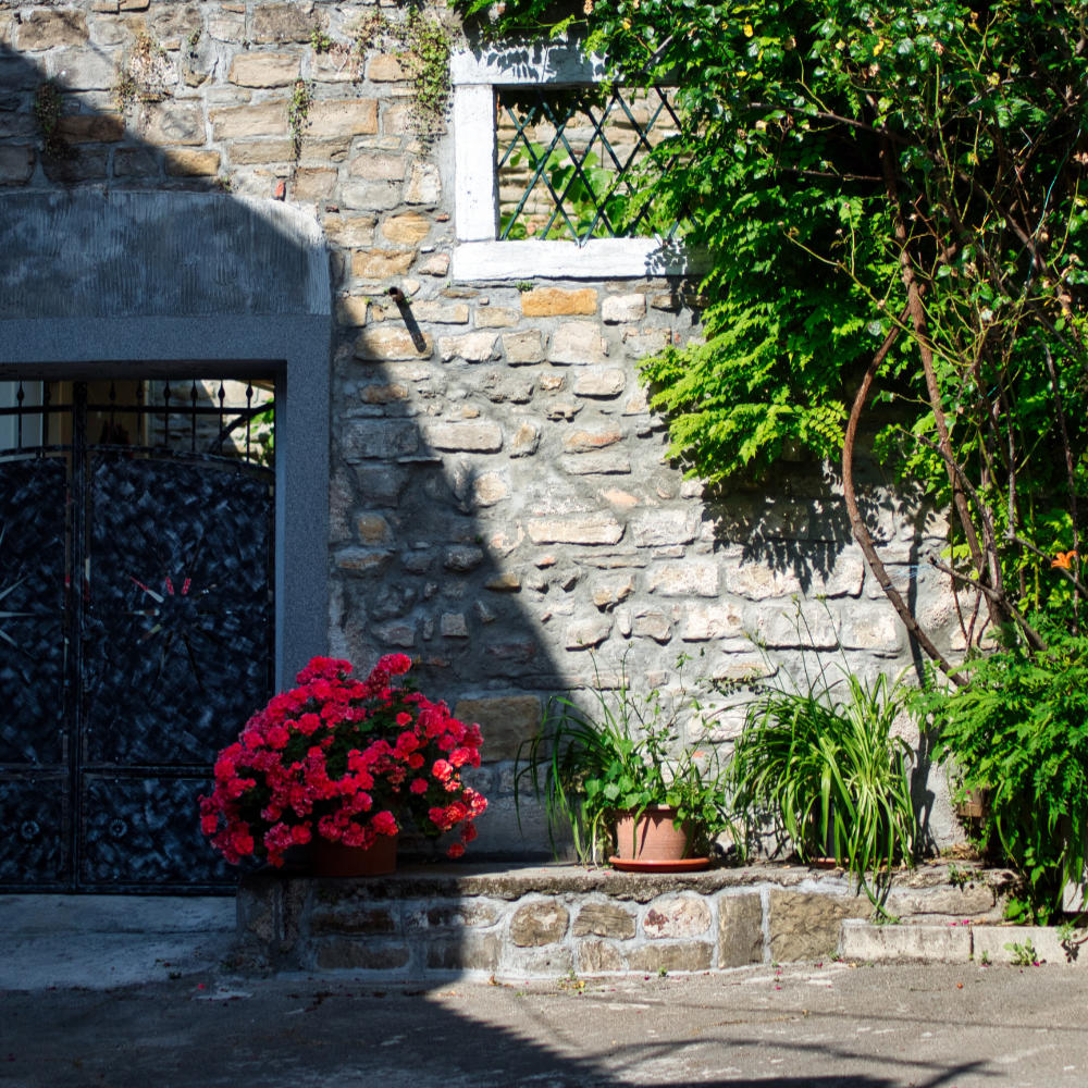 gamma dinamica e raw