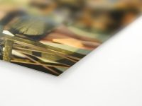stampa fine art su carta heritage elegance velvet