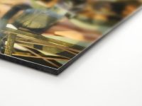 stampa fine art su carta heritage elegance velvet su pannello